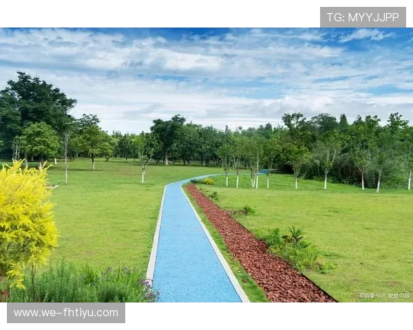 上海闵行体育公园周边休闲健身与自然景观全览